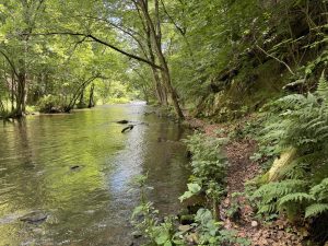 Adams Mill Hockanum River
