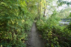 Angelo Sferrazza Park Trail
