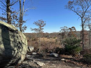 Avery Farm Sand Plains View