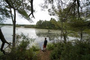 Babcock Pond