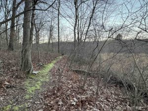 Blackledge Marsh Preserve