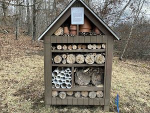 Blackledge River Greenway Insect Hotel