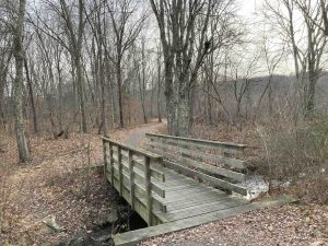 Blackledge River Greenway Trail