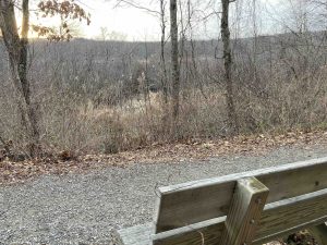 Blackledge River Greenway View