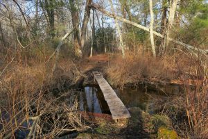 Brook Crossing at Sugar Brook