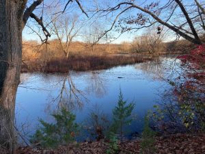 Brooklyn Riverside Park Quinebaug River