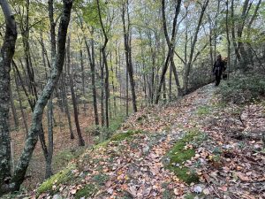 Broomstick Ledges Mattabesett