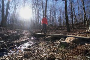 Bulkeley Hill Preserve Red Trail