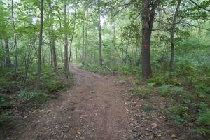 Burnham Tavern Trail