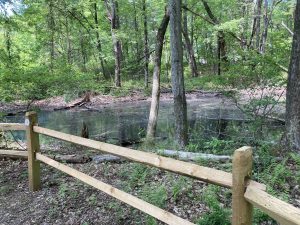 Bush Hill Preserve Vernal Pool