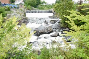 Cargill Falls