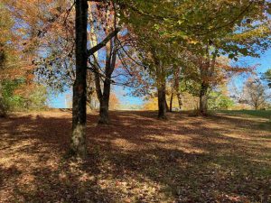 Castlerock-Lane-Trail-End