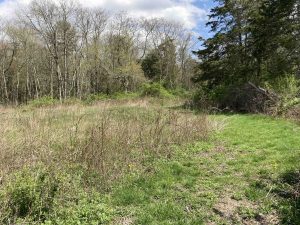 Cedar Wood Preserve Fields