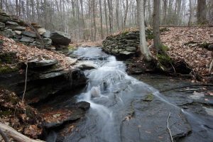 Chapman Pond Dam Cascade