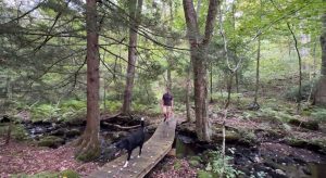 Chenes Roches Red Trail