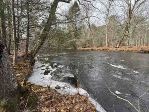 Cole W Wilde Trout Willimantic River