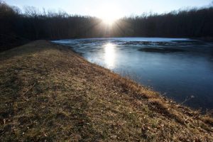 Crystal Pond Trout Pond