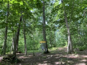 Davis Forest Disc Golf Hole Ten