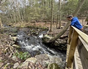 Day Pond Brook Bridge