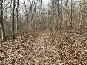 Dickinson Creek Trail
