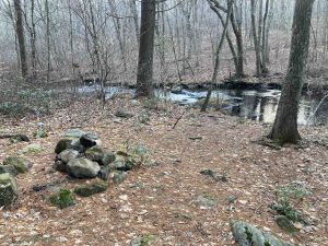 Dickinson Creek View