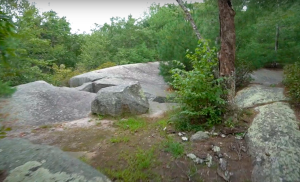Dinosaur Cliffs