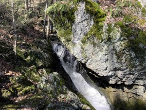 Dismal Brook Creamer Pond Cascade