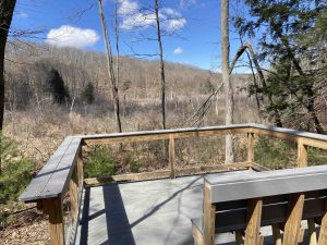Dismal Brook Wildlife Preserve Viewing Platform