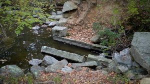 East River Preserve Mill Ruins
