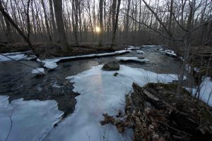 Exeter Brook at Bartlett Brook