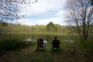 Fenton Ruby Taylor Pond