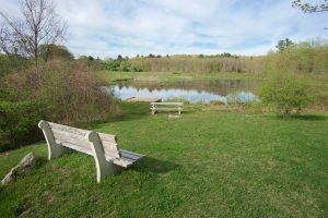 Fenton Ruby picnic area