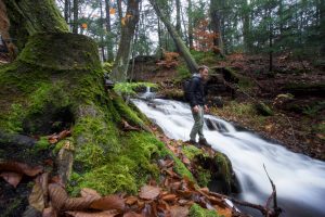 Flat Brook Falls