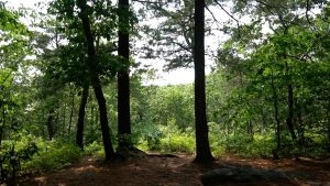 Garnet-Ledge-Pine-Ledge-Overlook