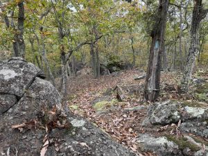Genessee Recreation Area Blue Trail