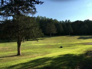 Giddings Park