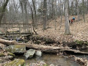 Godard Preserve Blue Trail
