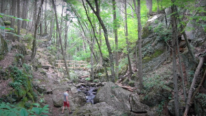 Green-Fall-Brook-Ravine