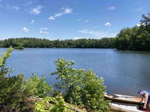 Halls Pond Island