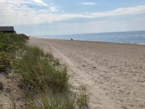 Hammonasset Beach