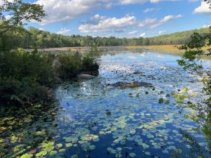 Hell Hollow Pond