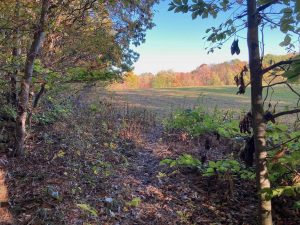 Herrick-Park-Field
