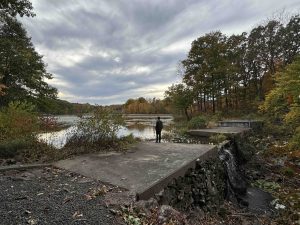 Highland Pond Preserve