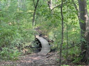 Hockanum River Trail Bridge Dart Hill