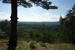 Horse Guard Overlook