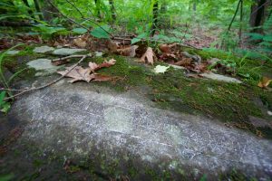 Hospital Rock Detail