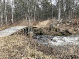 Lewis Farm White Trail Bridge
