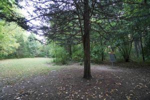 Lisbon Meadows Disc Golf Tee