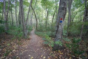 Lisbon Meadows Trail