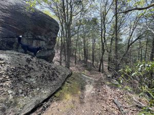 Little-Laurel Lime Ridge Park Trail